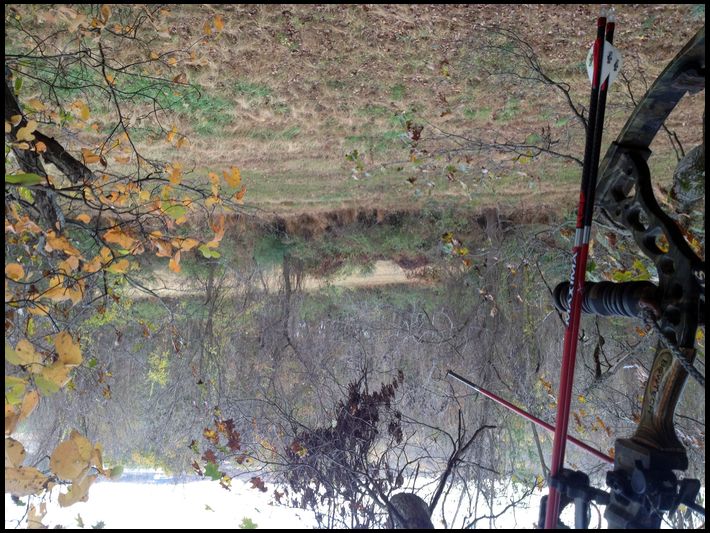 deer tracker's MOBILE embedded Photo