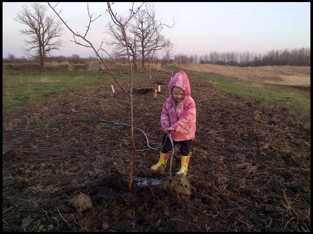 My 2 1/2 year old future huntress helping me water apple trees. She loves 