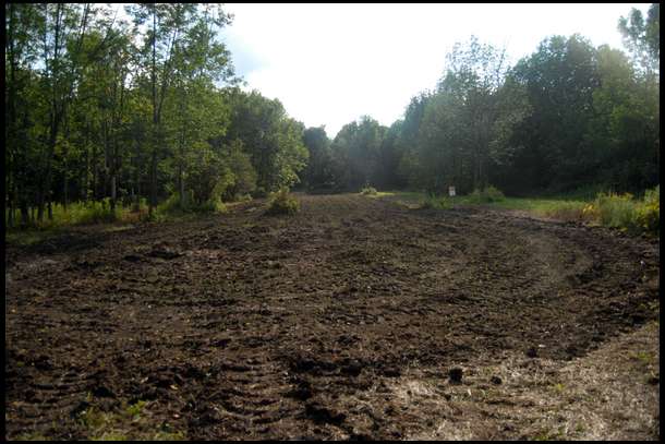 Here is what the plot looked like after spraying glyfo, pulling rocks and tilling.