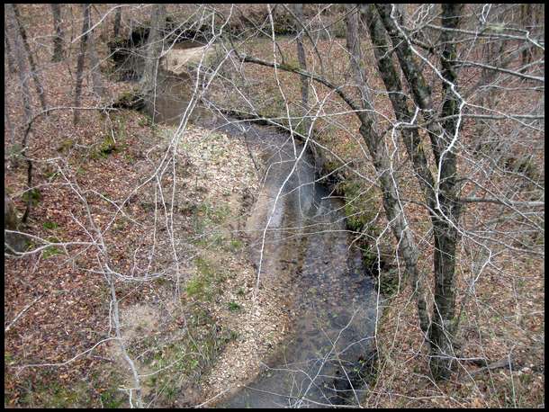 one of the creeks at the bottom plot taken from tree stand