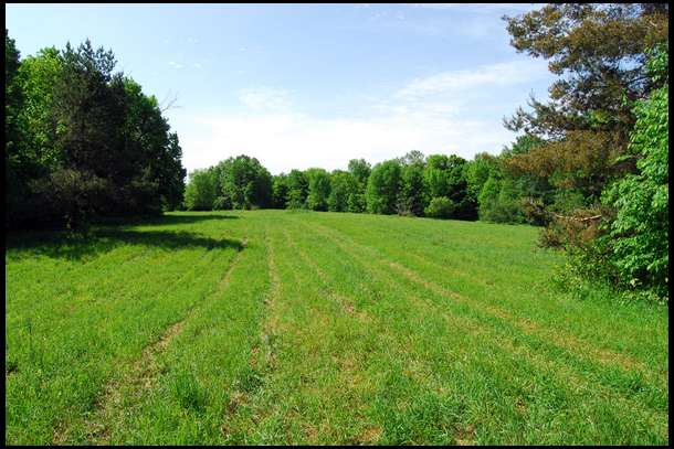This is Field one, our largest field. It was well cared for and includes a shooting house built by the previous landowner.  It is all grass now.

This will likely be our main food plot area. However, since it is close to the hub of human activity I think we'll plant brassicas and other winter plots here to start off with.