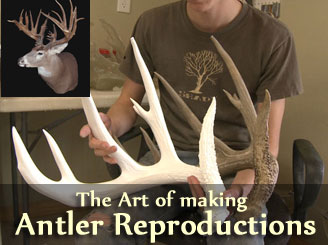 antler reproductions artistic antlers