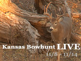 Bowhunting Whitetails in Kansas - a LIVE Bowhunt from Bowsite.com