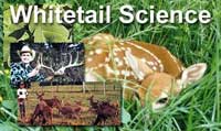 Whitetail Biology and Management