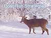 December Buck Strategies
