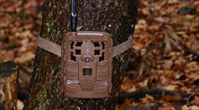 Moultrie Delta Base Cell Cam Review