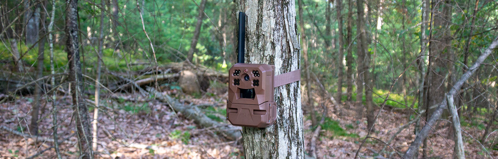Moultrie Edge Cam Review