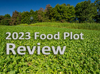 2023 Food Plot Review