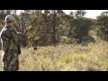 A quick Pig hunt in the New South Wales (Australia) ranges. 