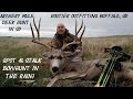South Dakota archery mule deer