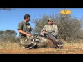 Bowhunting highlights of Darcy Nelson at Dries Visser Safaris