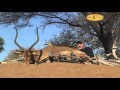 Hunting Highlights of Scott Arnett at Dries Visser Safaris