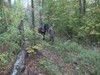 I was lucky enough to draw a Nonresident Archery Moose tag in VT this year.

I chose to hunt in Southern VT ...