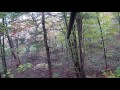 Ultimate Predator Camera Hunting Video. Bow mount hunting from treestand. 
