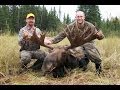 BWCAW moose hunt. Contains some comic relief, 