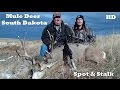 Mule Deer Hunting