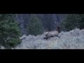 Here is a quick look at our 2014 Montana Elk Hunt. Stay tuned for the full video!