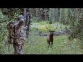 Elk101.com's University of Elk Hunting Online Course