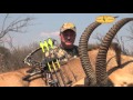 Hunting highlights with Rick Alberts at Dries Visser Safaris