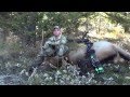 This is our 2013 Montana DIY archery elk hunt where we backpack into the Pioneer Mountains chasing elk during the rut. Watch along as we give out the details our trip and take you along for the ride. 