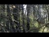 Follow me on my Elk hunt in the Gila Wilderness