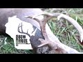 Watch as Steve with Wisconsin BowBros harvests his biggest buck to date on Nov. 12th, 2016!
