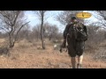 Hunting Highlights with Chris Wright at Dries Visser Safaris