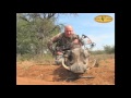Steve Ujvari Bow hunting at Dries Visser Safaris