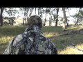Another short video of a bowhunt in the ranges of NSW Australia for wild pigs. 