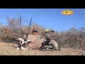 Hunting highlights at Dries Visser Safaris with Stanley Statum