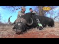 Bow hunting highlights of Gary Martin at Dries Visser Safaris