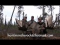 Moose hunting in the yukon