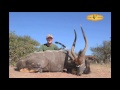 Hunting highlights with Kevin Collins at Dries Visser Safaris