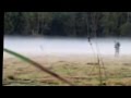 Video of Poison Arrow Gear Decoy at work