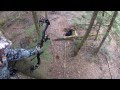 This is a Go Pro video of a bear I passed before shooting mine on day 2.