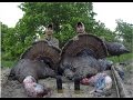 May 30th 2015 Turkey hunt in Upstate New York. We had a pretty tough season but were able to wrap our tags around a few birds before it was all said and done. This final hunt of 2015 was a perfect representation of what we dealt with throughout the spring. It all started with guys hunting the same field as us opening morning, our scouted bird getting shot out of the roost on state land, missing a triple beard due to high winds (and improper blind use...) and the typical henned up gobblers. We pushed through the season, adapted and it all came together at the end. What a season!