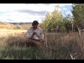 Idaho Spot and Stalk Bear Hunt