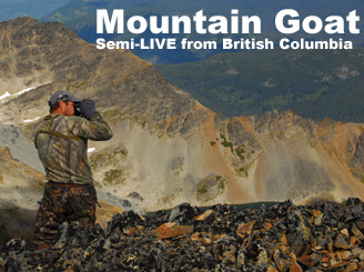Bowhunting Mountain Goat in British Columbia - a Semi-LIVE Bowhunt from Bowsite.com