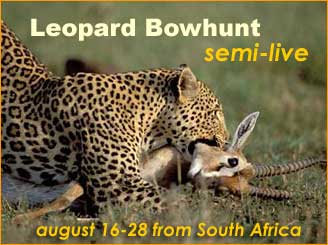 Bowsite.com's Leopard Bowhunt with Dries Visser Safaris