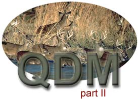 QDM Part II