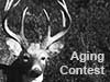 Deer Aging Contest 2016