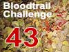 Bloodtrail Challenge 43