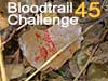 Interactive Bloodtrail Challenge 45