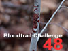 Bloodtrail Challenge 48 