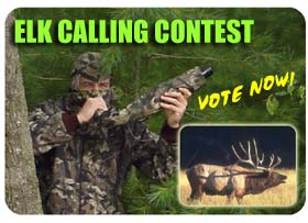 Bowsite.com's Elk Calling Contest