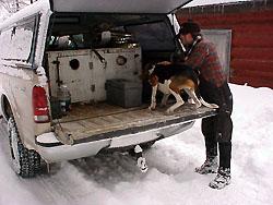 Ron Sherer loading the dogs