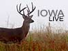 Iowa Whitetails LIVE
