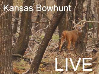 Bowhunting Whitetails in Kansas - a LIVE Bowhunt from Bowsite.com