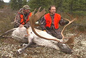 My first caribou.