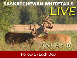 Bowhunting Whitetails in Saskatchewan